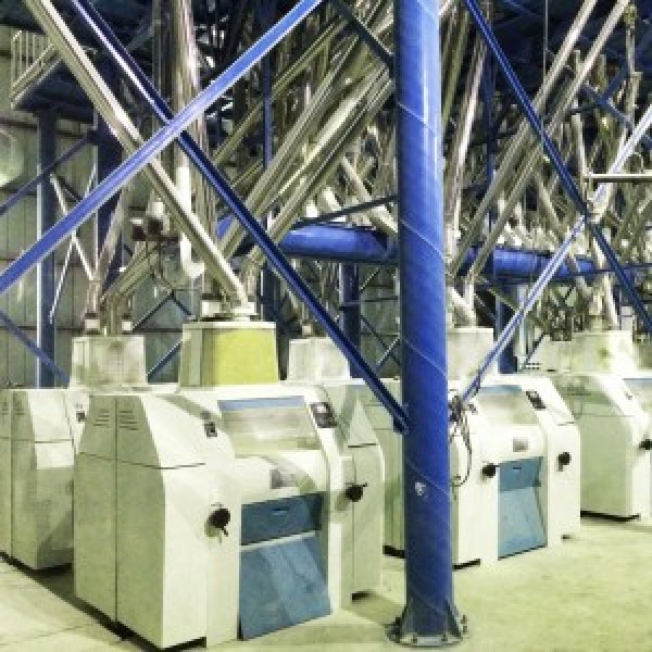 6FTF-100 Flour Mill